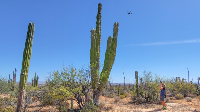 Bettina fotografiert Reto...