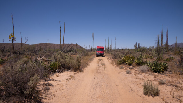 oft ist es einiges schmaler als hier, Sträucher, Agaven und Kakteen berühren immer wieder unseren Jupi;