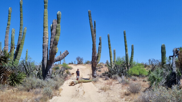 der muss weg, kurz danach kehren wir aber um
