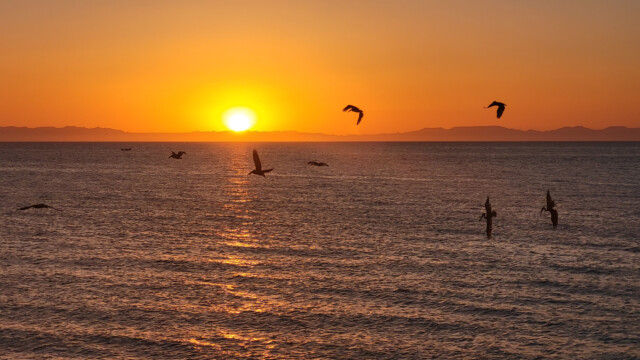 dieses und die folgenden Bilder wurden mit dem Smartphone gemacht