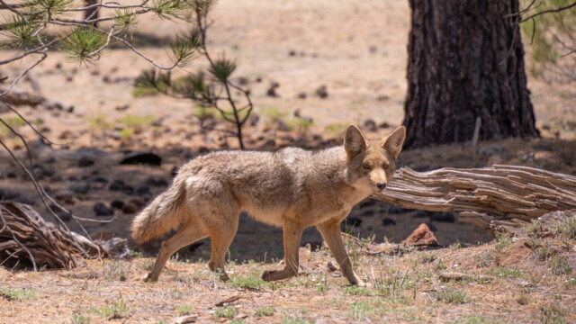 ... er auch - und bleibt dann