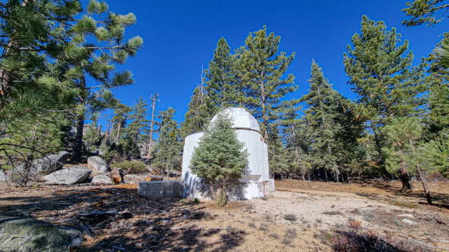 was man damit zwischen den Bäumen wohl beobachten kann?