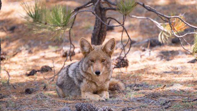 er hat scheinbar Zeit