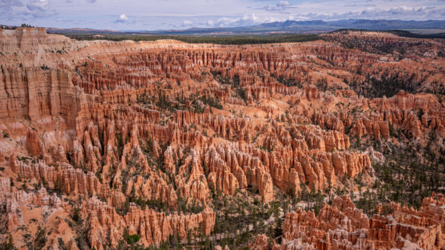 unzählige Säulen in verschiedenen Farben