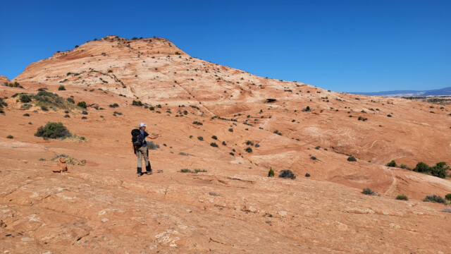 Wo geht hier der Weg durch?