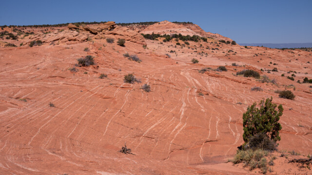 sowie schönen Formen und Farben