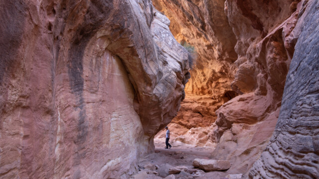 manchmal breit, manchmal schmal