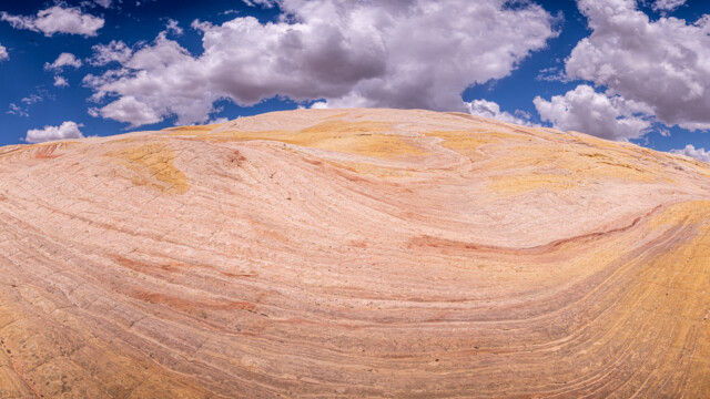 wunderschöne Farben und Formen