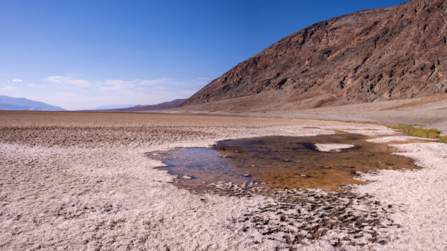 das Wasser hier ist salzhaltig - badwater