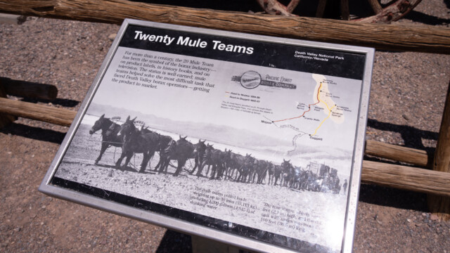 ... gezogen von 20 Maultieren;