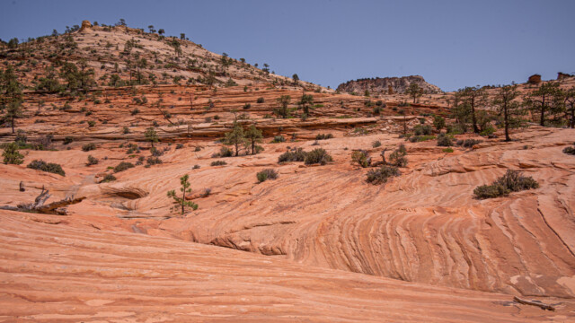 geniale Farben und Formen