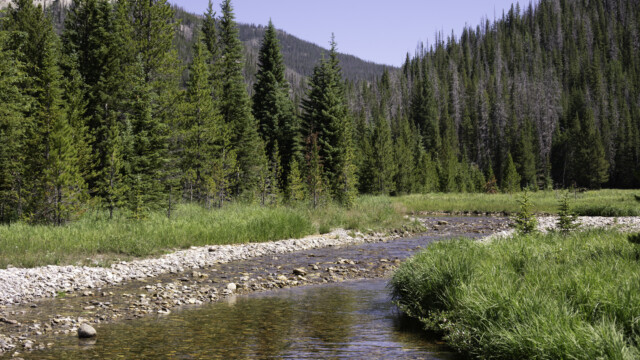 ca. fünf Kilometer unterhalb der Quelle