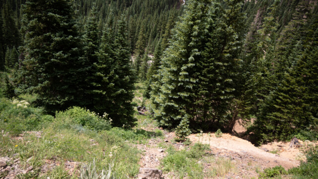 vor einigen Wochen stürzte hier ein Fahrzeug ab, es liegt noch unten...
