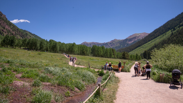 wir sind nicht die einzigen...