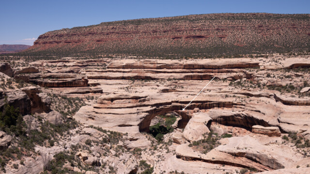 hier (weisser Pfeil)