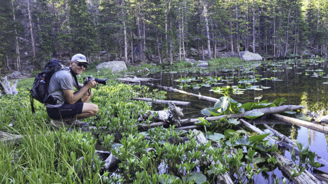 mitten in den Seerosen