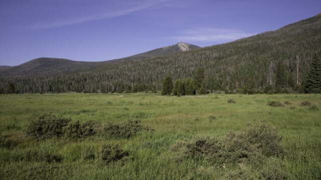 Rocky Mountains? sieht wieder mal wie der Jura aus