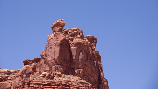 sieht fast wie ET aus