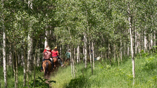 auch Reiter sind unterwegs