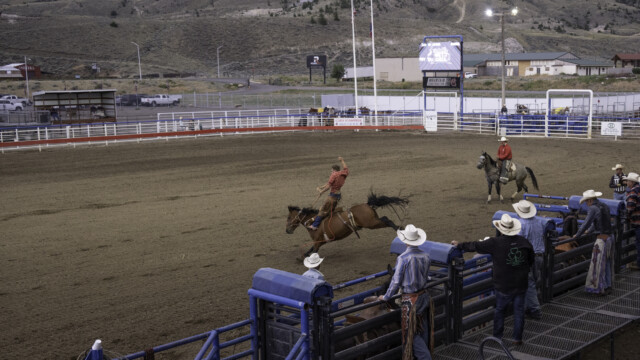 raus aus dem Gatter...