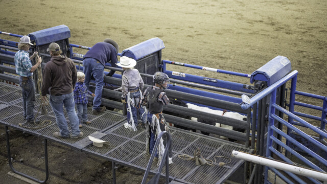 am längsten hielt sich der Junior, wohl keine 15 Jahre alt