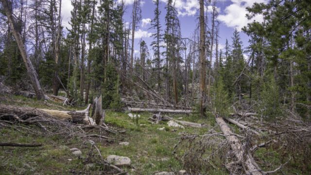 wo führt hier der Weg durch?