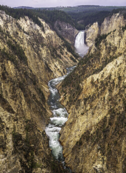 Lower Falls - Yellowstone River